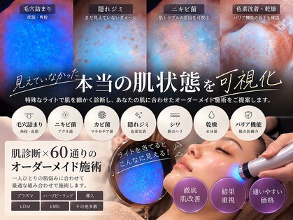 リラ(Lilas)の写真