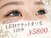 シェノン(CHAINON)