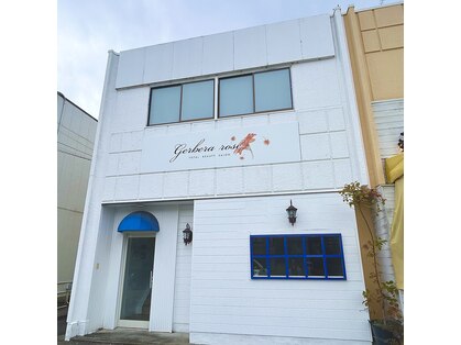 ジェルブラローズ(gerbera rose)の写真