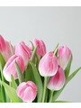 チュリップサカエ(Tulipe sakae)からのメッセージ