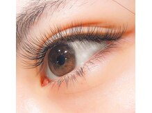 ルプティボヌール(LE PETIT BONHEUR.)/ボリュームラッシュ 300本