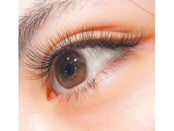 ルプティボヌール(LE PETIT BONHEUR.)/ボリュームラッシュ 300本