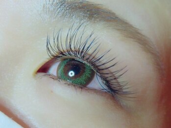 ビューティーサロン ボヤージュ(Voyage)/セーブル付け放題