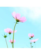 ずっとキレイ 芝浦&nbsp;REIKO 