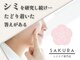 サクラ 伊勢原店(SAKURA)の写真