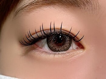 スカイ ネイル アンド アイ(SKY)の写真/【フラットマットラッシュ120本¥6600】最軽量設計の特殊形状でバラつきにくく、モチもUP！最強目元を実現◎
