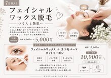 ノア(Noa)
