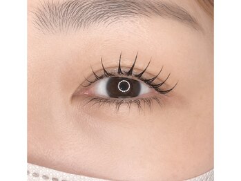 ワイズサロン(Y’s.salon)の写真/.軽やかなのにしっかり濃密。モチの良さにもこだわったフラットダブルで、理想の目元へ。
