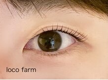 ロコ ファーム(loco farm)/まつげパーマ/ラッシュリフト
