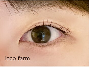 ロコ ファーム(loco farm)/まつげパーマ/ラッシュリフト