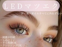 ルーチェ(salon de Luce)