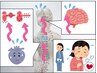 【突発的な動悸,不安,発汗,呼吸困難のお悩み】心臓や延髄の硬直を和らげます