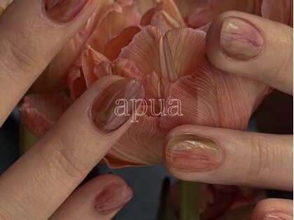 アプア(apua)の写真