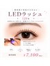 【持続力最強】LEDフラットラッシュ120本 &nbsp;通常¥7,100