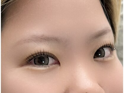 モカ(moca)の写真