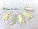 デザイン定額　【Bコース】