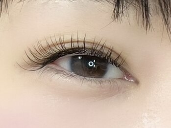 シュガーラッシュ(sugar lash)/