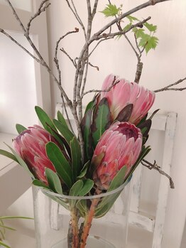 ボディスリム/*季節の生花*