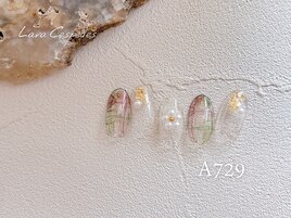 ［Aコース］A729