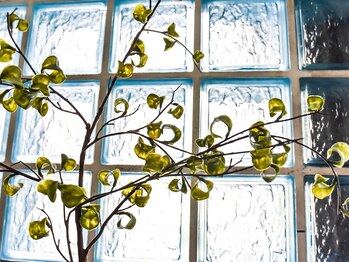 腰痛特化整体院 山本/