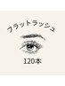 【モチの良さ抜群★ボリューム感UP♪】フラットラッシュ120本￥6500→¥5500