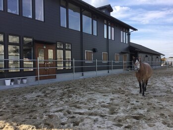 フローラ(FLORA)/サロン入口