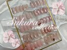 【定額】桜collection