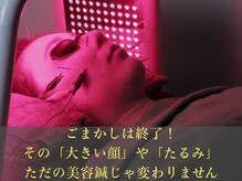 やなけん 亀戸店