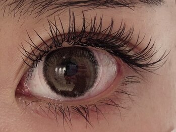 カラン 焼津店(CALIN)/フラットラッシュ120本