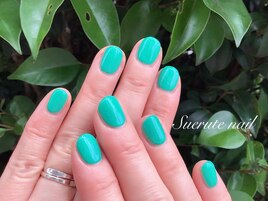 トロピカルカラーネイル ¥6000