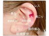 MAYUMI限定★【SNSで話題の新メニュー導入】耳ツボジェリー10粒　2500円