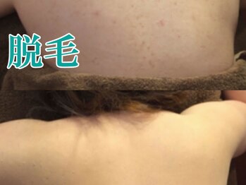 美宝 元町/背中