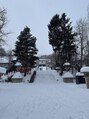 アメリイ 百合ヶ丘 新百合ヶ丘(Amerii) 1月に小樽の神社に行きました!フワフワの雪が新鮮です♪