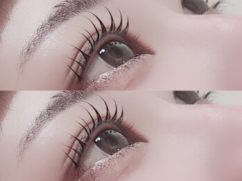 リノ(Lino)/立ち上げ×カール