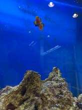 くまのみ整体院 天沼院/子供にも大人にも人気です！