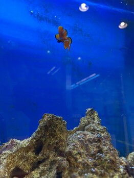 くまのみ整体院 天沼院/子供にも大人にも人気です！