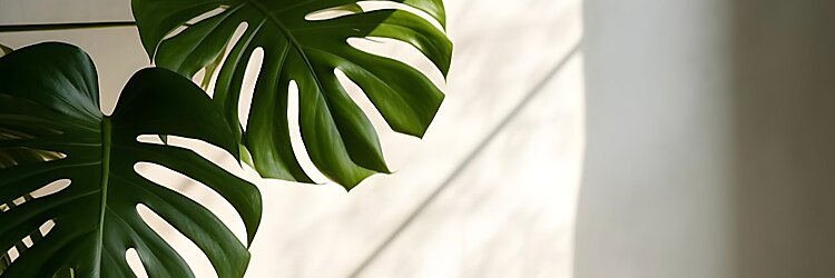 キト(QUITO)のサロンヘッダー