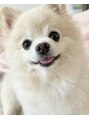 ラルゴ(Largo)&nbsp;溺愛のまめたくんです♪愛が止まらないです、、笑