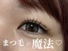 【期間限定】話題のフラットラッシュ100本　¥6050→¥4400