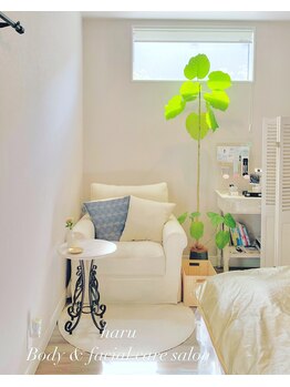 ハル(Haru)/サロン