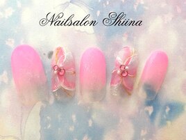 定額デザイン8900円