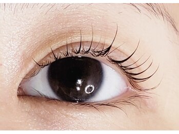 カミュージョ(Kamyujo)/ファービーロッドデザイン