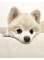 ラルゴ(Largo)&nbsp;わんちゃん含め動物大好きなので、お好きな方はぜひ話しましょ♪