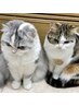 ■平日16時まで割引き■