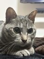 リラ ねこのシッポ&nbsp;みーたんと仲良くなれません(T_T)