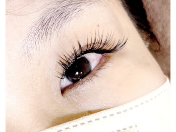 フェンテ(Fuente)/【フラットラッシュ上無制限】