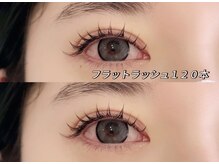 ボヌール(Bonheur)/フラットラッシュ120本