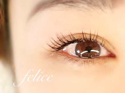 フェリーチェ(Felice)の写真