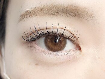 エクリュ 元住吉(ecru.)/フラットラッシュ