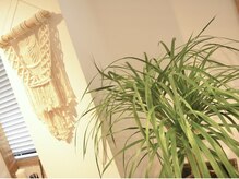 アイラッシュアンドネイル専門店 クラル 茅ヶ崎店(CURAR)/店内写真